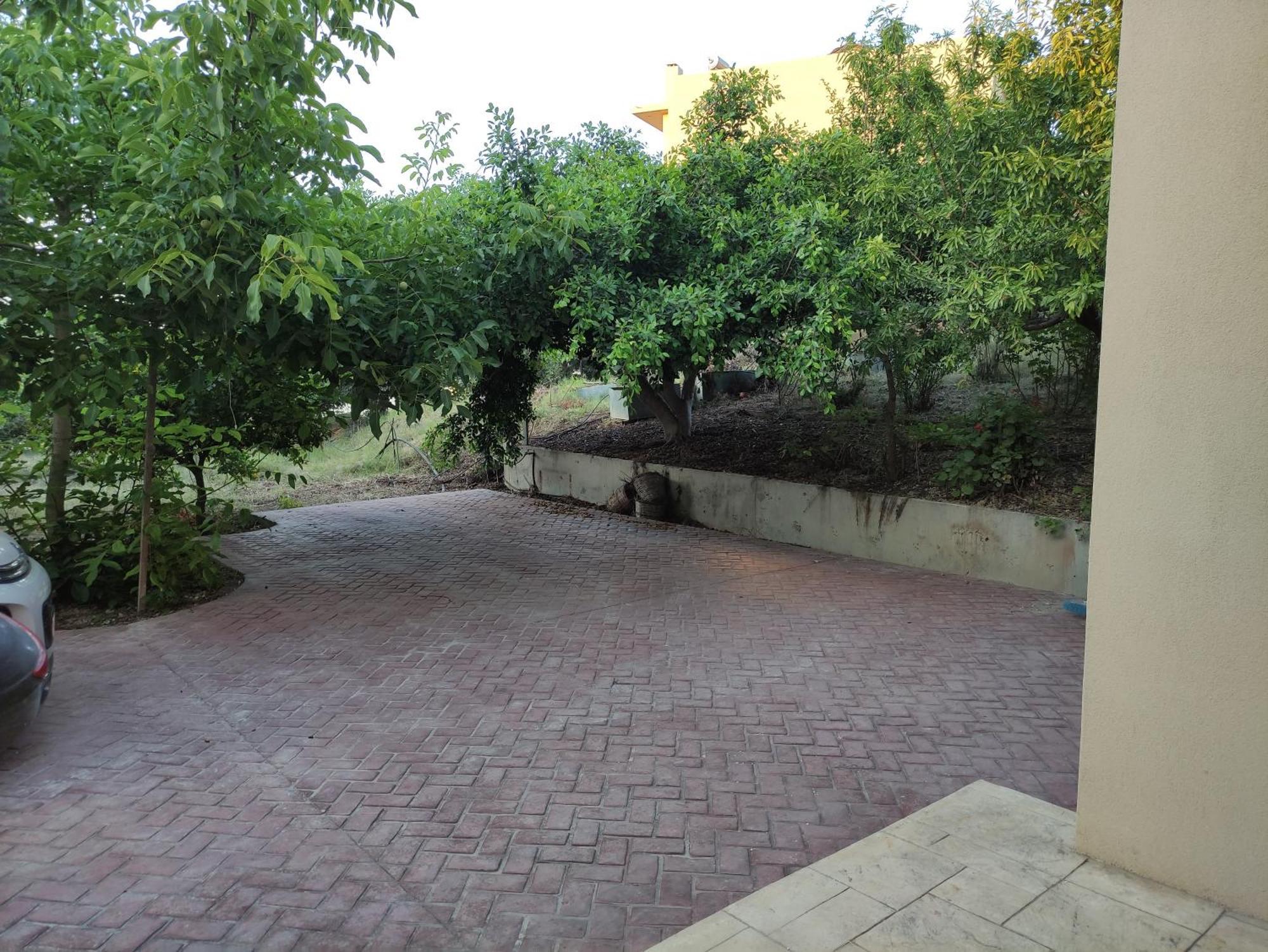 Under The Trees Heraklion (Crete) Exterior foto